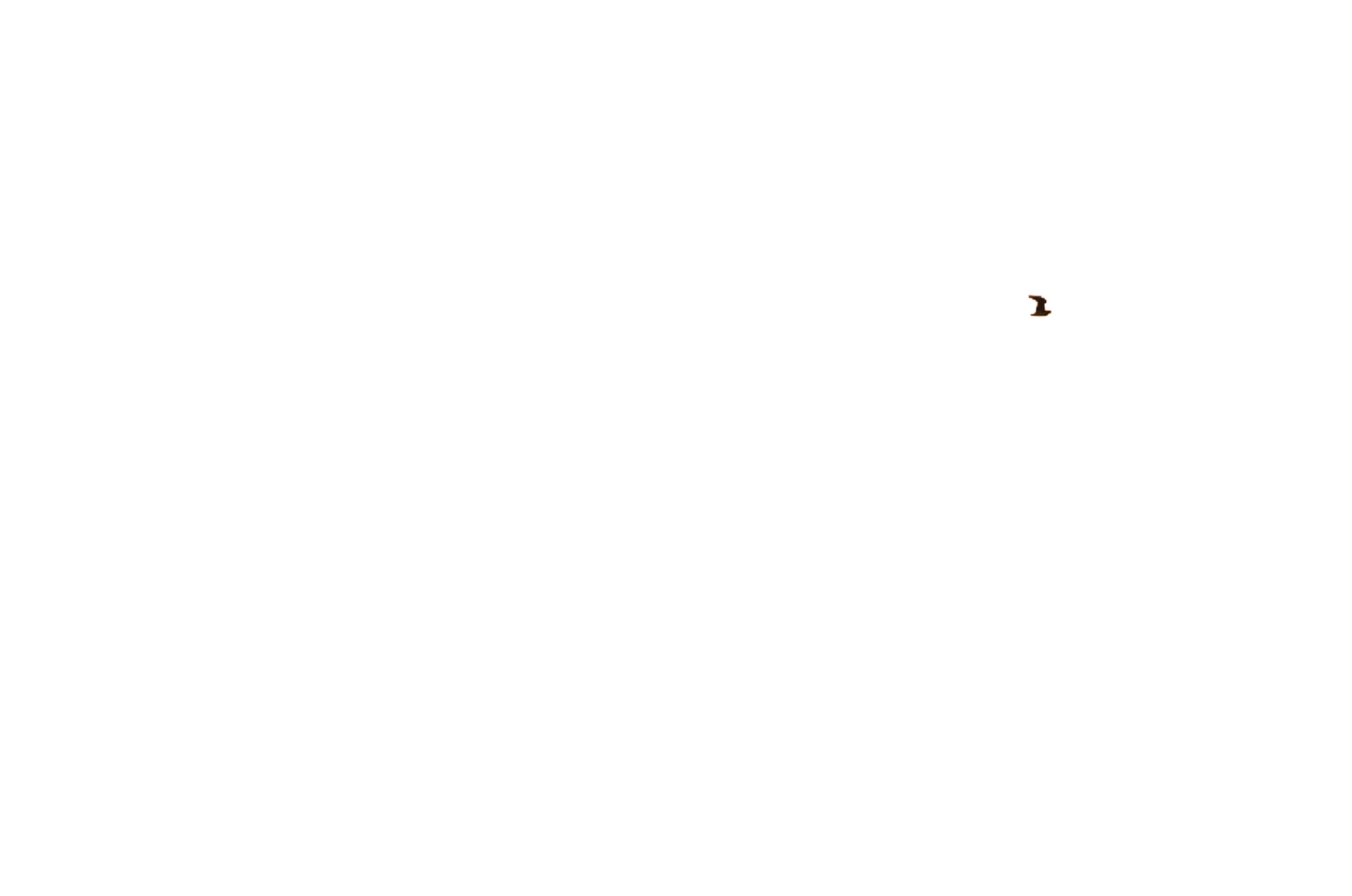 parallax layer